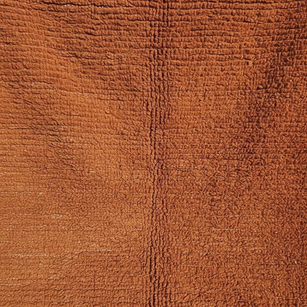Handmade Moroccan Berber Rug – Terracotta Orange Wool Carpet with Striped Border