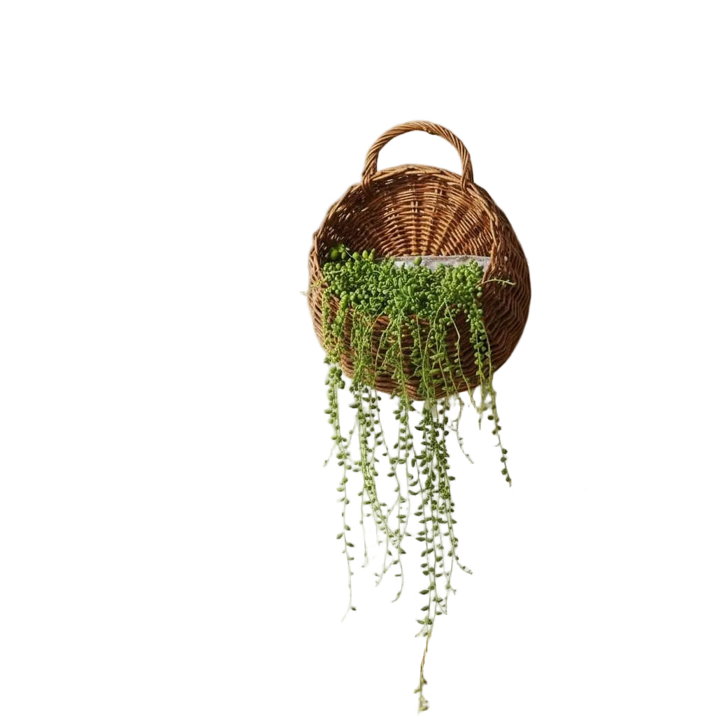 Handmade Woven Wall Hanging Planter Basket – Rattan Plant Holder for Boho Wall Decor